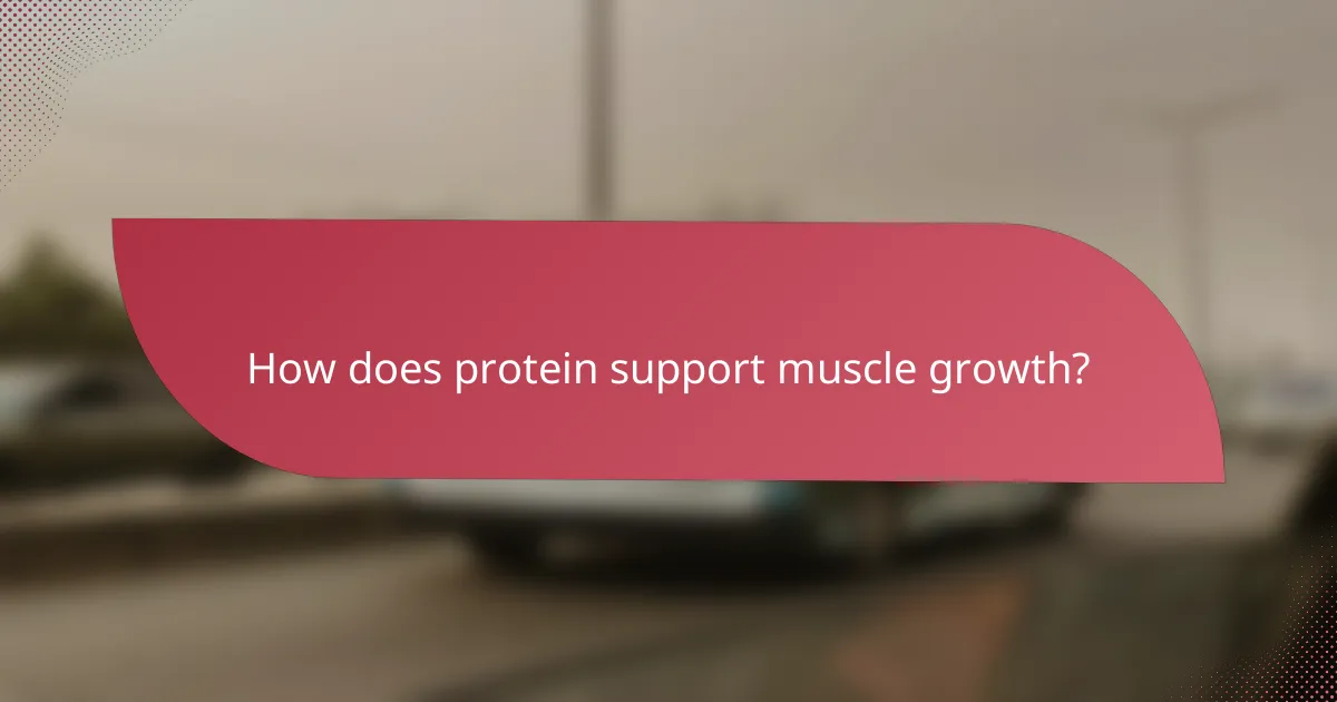 How does protein support muscle growth?